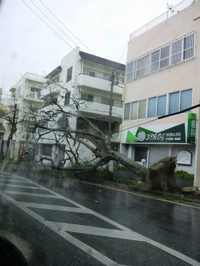 台風17~2