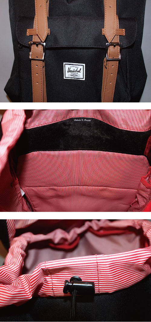 Herschel-lil-black-back