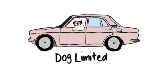 Dogincar-new